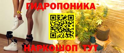 прущие грибы Рыбинск