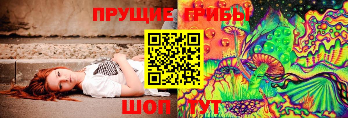 Семилуки  Псилоцибиновые грибы мицелий  купить   Вход с VPN  Псилоцибиновые грибы мицелий 