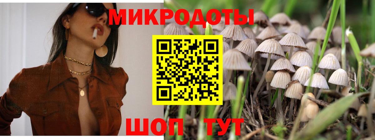 Галлюциногенные грибы прущие грибы Семилуки