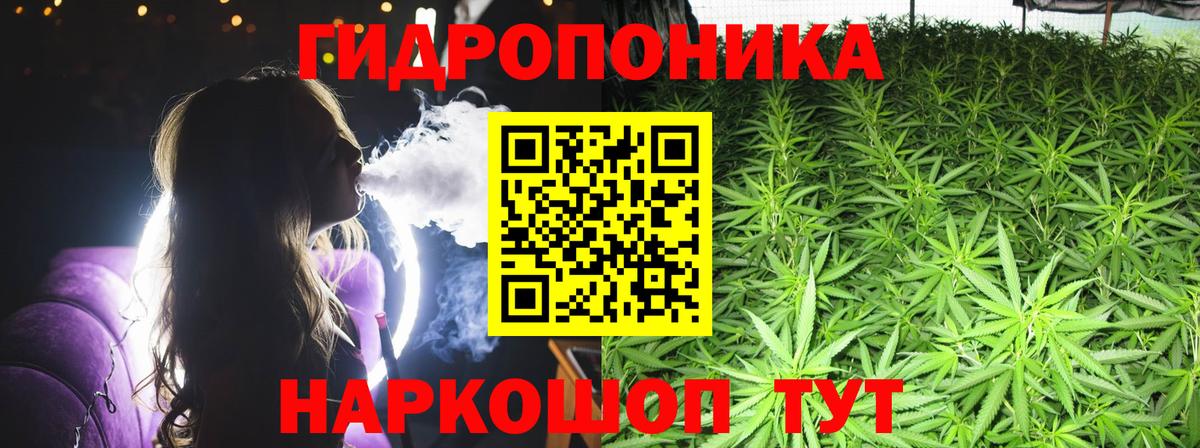 Канабис семена  Вход с VPN  Семилуки  Марихуана сатива 